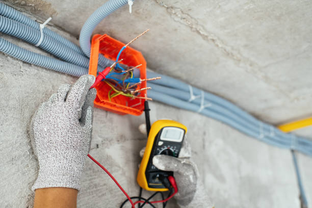 Best Ceiling Fan Installation Electrician  in Shenandoah, PA